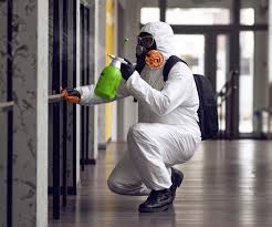 Best Forensic Mold Investigation in Kingston, WA